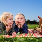 モンテッソーリのおもちゃはどこでレンタルできる？おすすめレンタルショップ3選！！